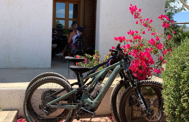 Tour de bicicleta pelos vinhedos do Valle de Guadalupe - Foto 4