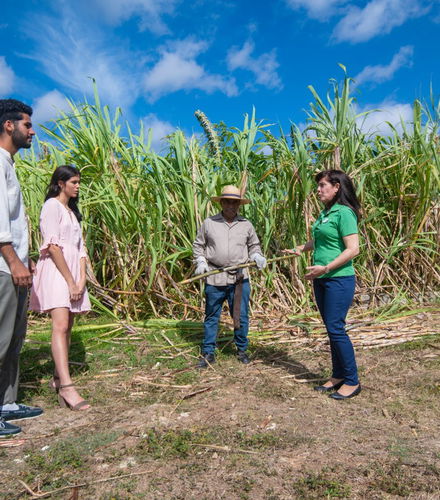 Foto de Tour del tabaco, el ron y el azúcar