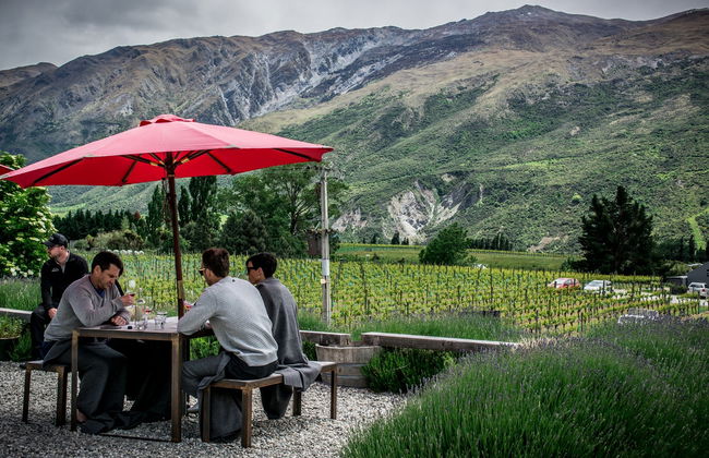 Bus touristique des vignobles de Queenstown - Photo 2