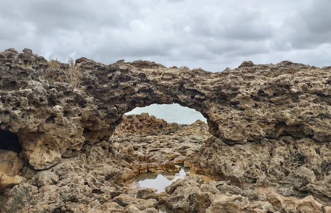 Balade en buggy sur la côte sud de Paraíba - Photo 4