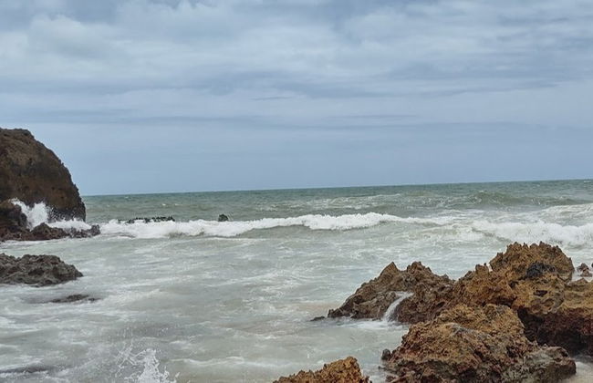 Balade en buggy sur la côte sud de Paraíba - Photo 5