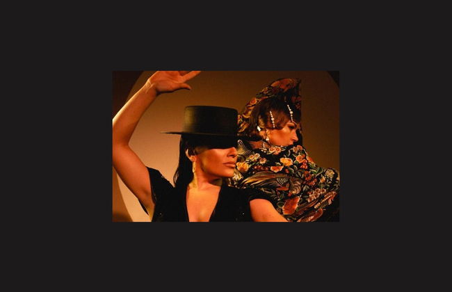 Spettacolo al Centro Cultural de Flamenco di Madrid - Foto 1