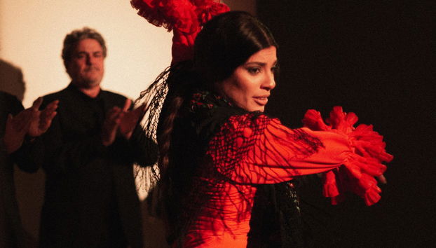 Espectáculo en el Centro Cultural de Flamenco de Madrid - Foto 2
