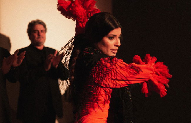 Spettacolo al Centro Cultural de Flamenco di Madrid - Foto 2