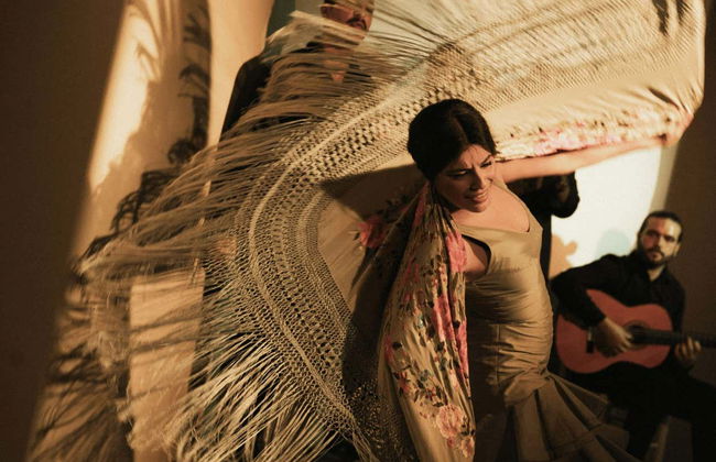 Spettacolo al Centro Cultural de Flamenco di Madrid - Foto 7