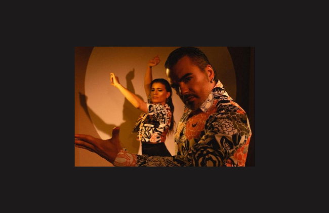 Spettacolo al Centro Cultural de Flamenco di Madrid - Foto 3