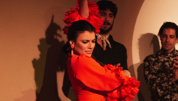 Espectáculo en el Centro Cultural de Flamenco de Madrid - Foto 5