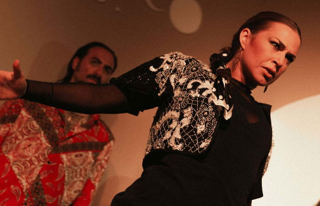 Spettacolo al Centro Cultural de Flamenco di Madrid - Foto 9