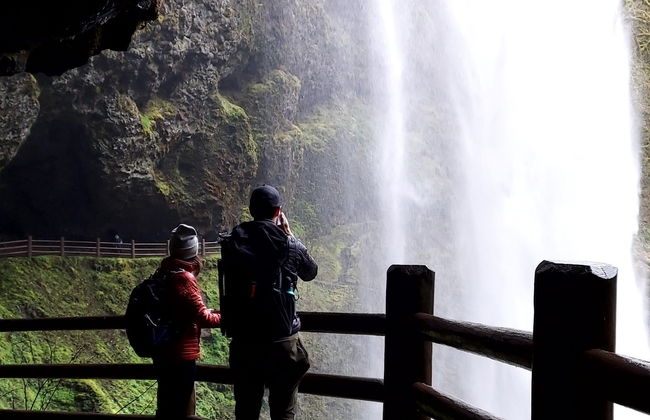 Excursión al Parque Estatal Silver Falls - Foto 8