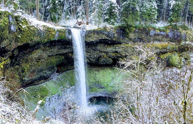 Excursión al Parque Estatal Silver Falls - Foto 2