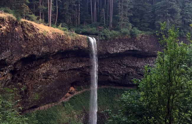 Excursión al Parque Estatal Silver Falls - Foto 4