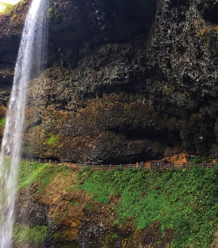 Foto de Excursión al Parque Estatal Silver Falls