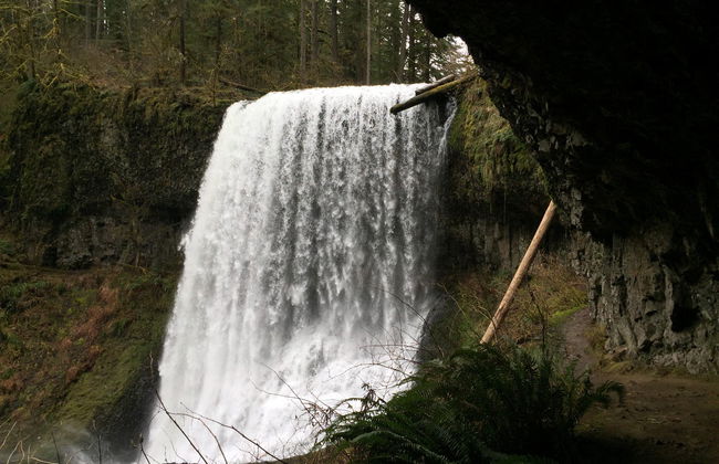 Excursión al Parque Estatal Silver Falls - Foto 5