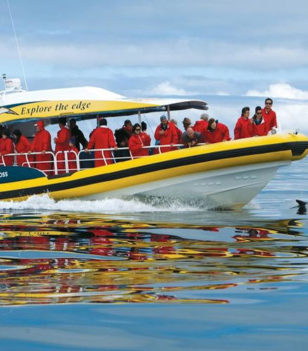 Foto de Crucero a Bruny Island desde Hobart - Excursión de día completo