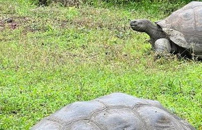 Tour por la Reserva Galápagos Frontier + Túneles de lava - Foto 8