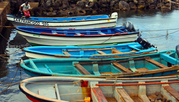 Private Fishing Tour off the Coast of Hanga Roa - Foto 3