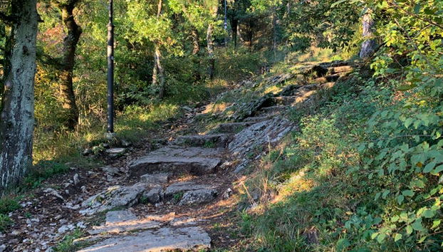 Rupe Trail Private Hike - Photo 4