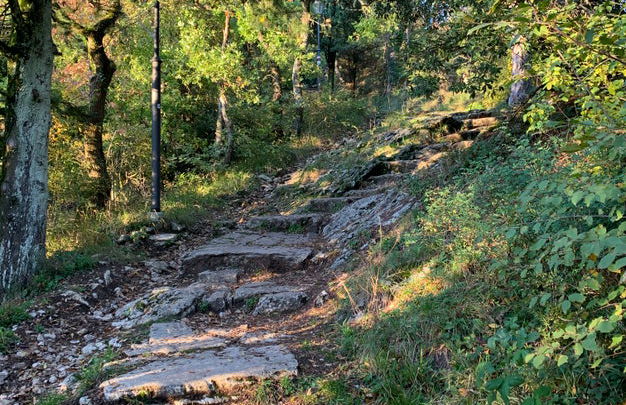 Rupe Trail Private Hike - Photo 4