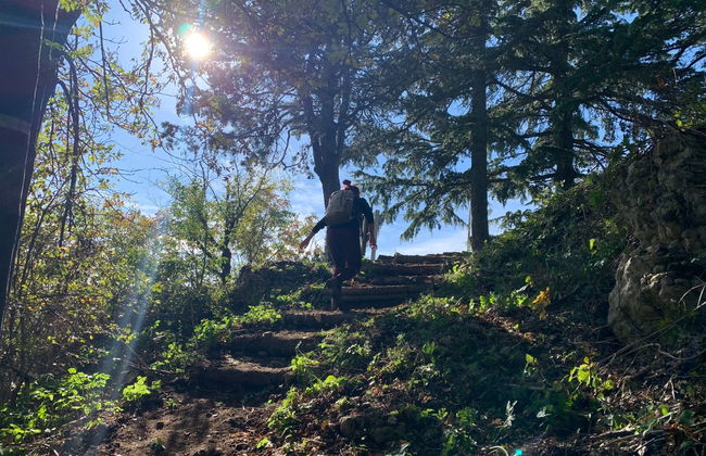 Rupe Trail Private Hike - Photo 7