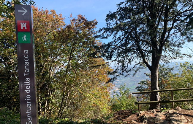 Rupe Trail Private Hike - Photo 8