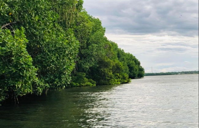 Paseo privado en barco por los manglares de Pottuvil - Foto 5