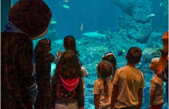 Oman Aquarium Tickets - Photo 4