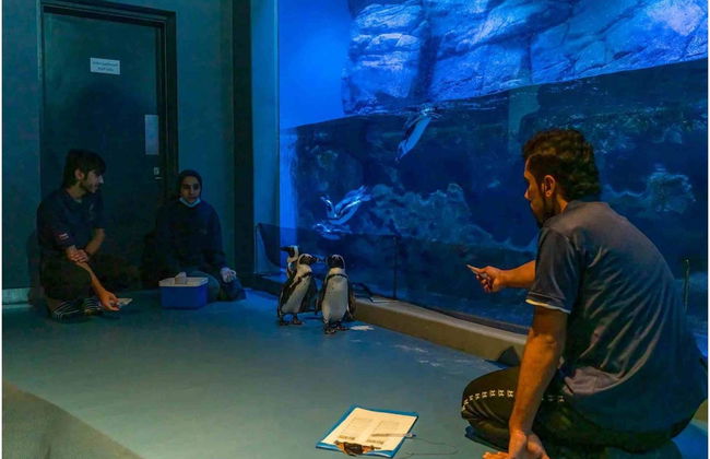 Oman Aquarium Tickets - Photo 5