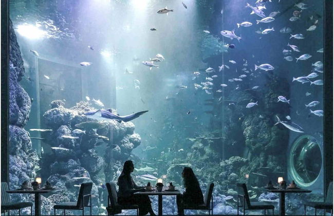 Oman Aquarium Tickets - Photo 3