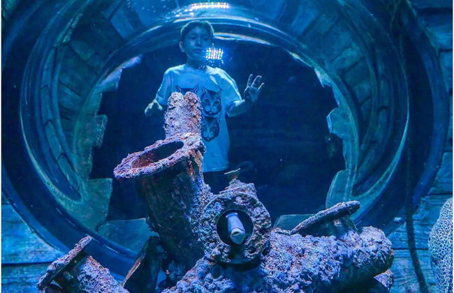Oman Aquarium Tickets - Photo 2