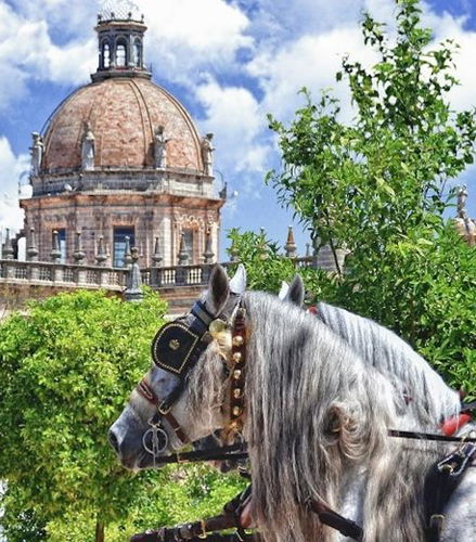 Foto de Visita guiada - Centro histórico de Jerez y espectáculo ecuestre