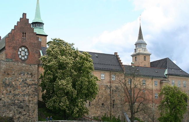 Recorrido a pie por lo mejor de Oslo - Foto 7