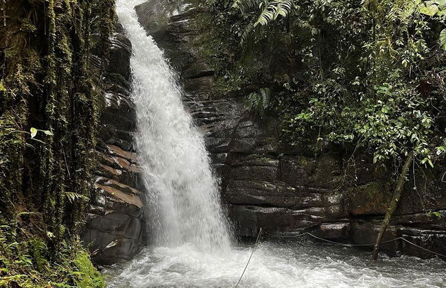 Descubre la Cascada de Santa Rita - Tour con entrada opcional - Foto 3