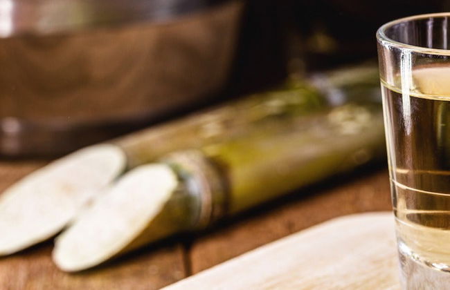 Tour della cachaça a Garopaba - Foto 7
