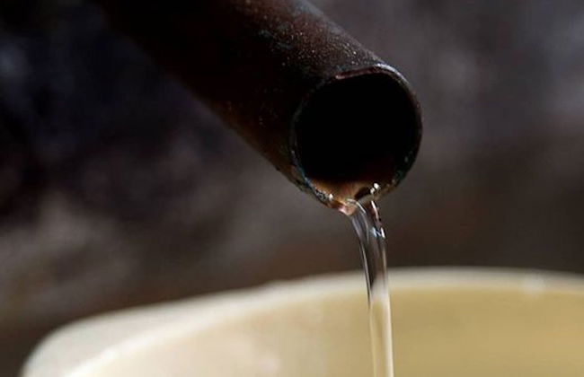 Tour della cachaça a Garopaba - Foto 4