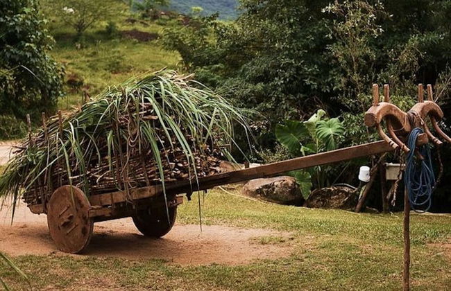 Tour della cachaça a Garopaba - Foto 2