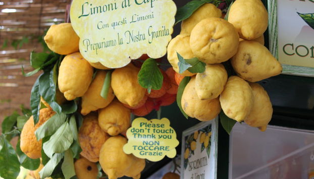 Capri Day Trip - Foto 4