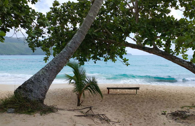 Excursión a la Playa Rincón - Foto 6