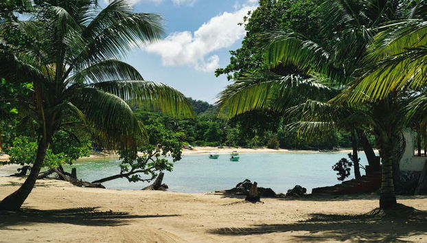 Excursión a la Playa Rincón - Foto 4