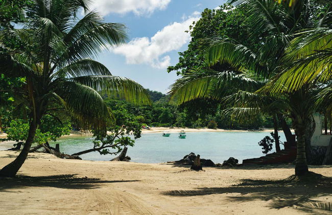 Tour por las 7 playas de Samaná - Foto 6
