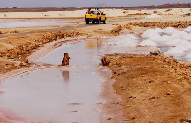 Tour por las salinas de Pedra de Lume y Santa María - Foto 8