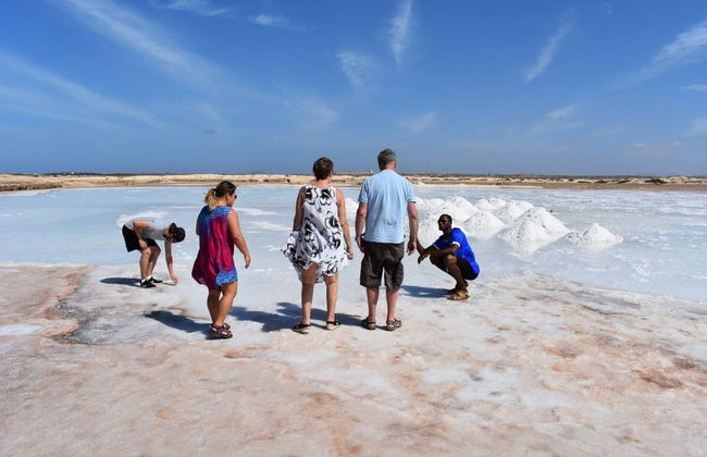 Tour por las salinas de Pedra de Lume y Santa María - Foto 6
