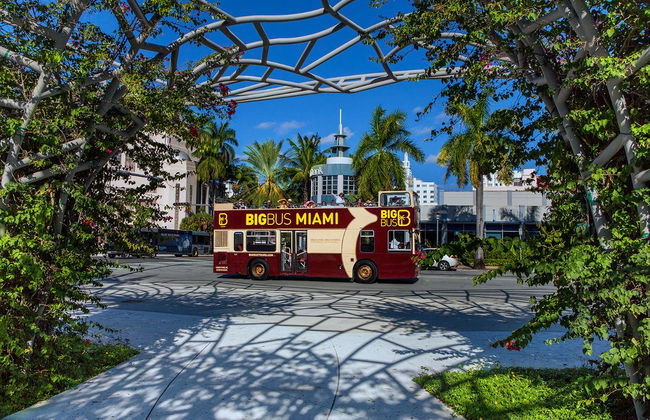 Autobús turístico de Miami - Foto 3