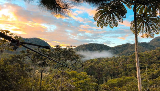 Excursión a Oxapampa y Chontabamba - Foto 4
