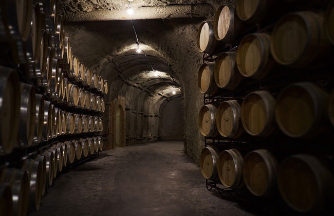 Visita a las bodegas Vinícola Real - Foto 4