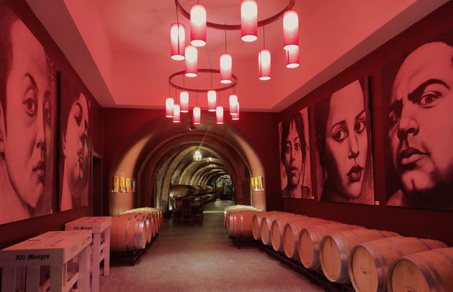 Visita a las bodegas Vinícola Real - Foto 9