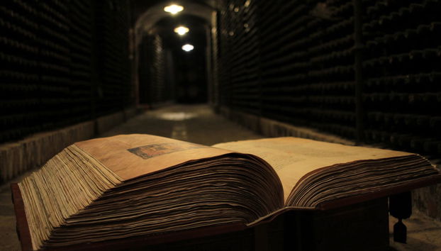 Visita a las bodegas Vinícola Real - Foto 5