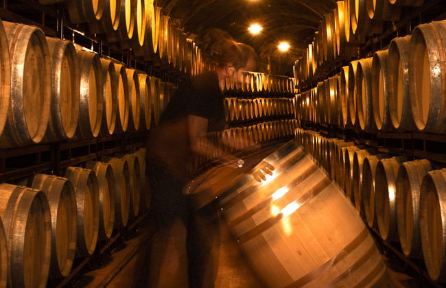 Visita a las bodegas Vinícola Real - Foto 10