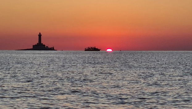 Medulin Sunset Dolphin Watching - Foto 3