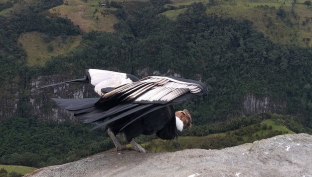 Excursion privée depuis Silvia - Photo 2