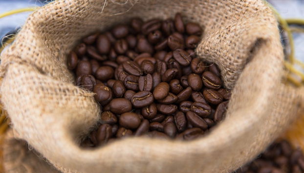 Tour del caffè a Villa Rica - Foto 4